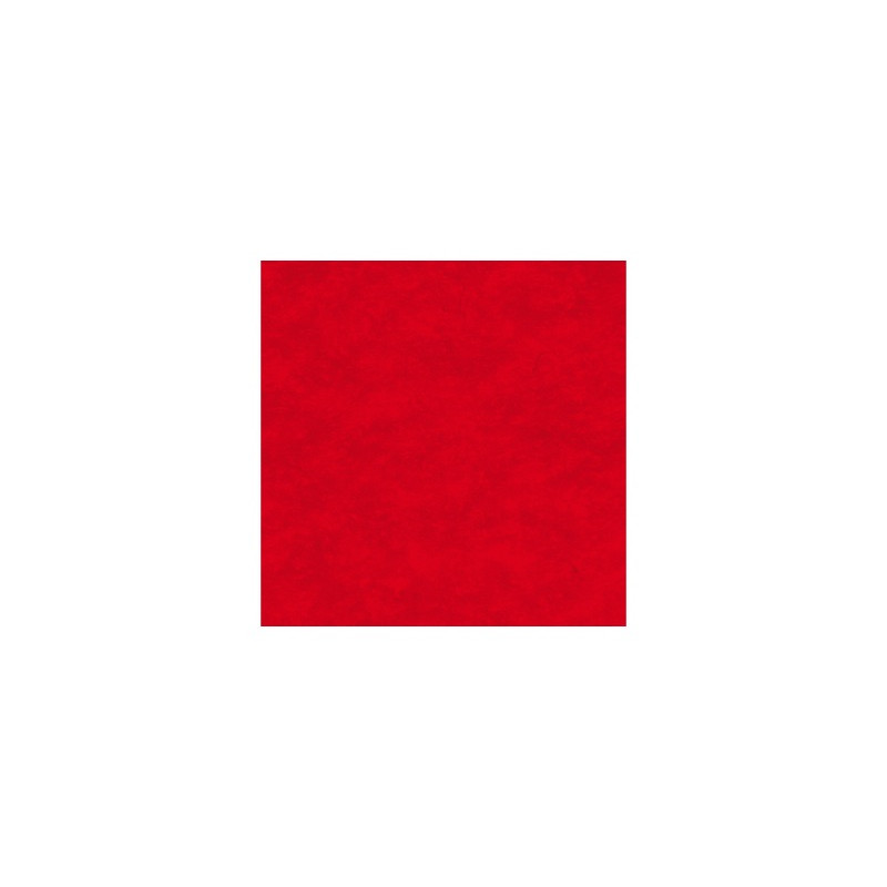 METRE LINEAIRE MOQUETTE DE SCENE ROUGE HAUTEUR (LARGEUR 2 METRES) METRE LINEAIRE MOQUETTE DE SCENE ROUGE HAUTEUR (LARGEUR 2 METRES)