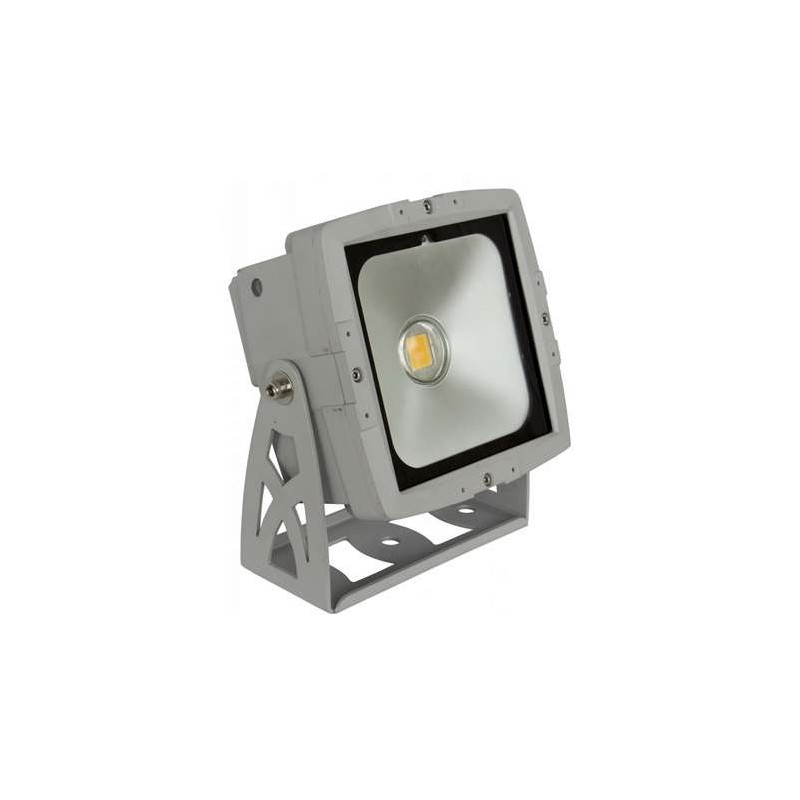 PROJECTEUR LED BLANC CHAUD INT/EXT LED COB 50W BRITEQ PROJECTEUR LED BLANC CHAUD INT/EXT LED COB 50W BRITEQ