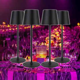 VALISE DE 4 EVENTLITE RGBW...