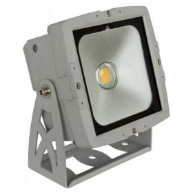 PROJECTEUR LED BLANC CHAUD...