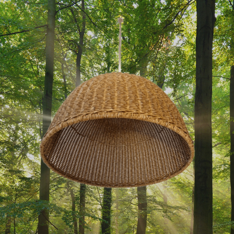 SUSPENSION PARANOCTA POLYROTIN