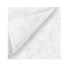 METRE LINEAIRE MOQUETTE DE SCENE BLANCHE (LARGEUR 2 METRES)