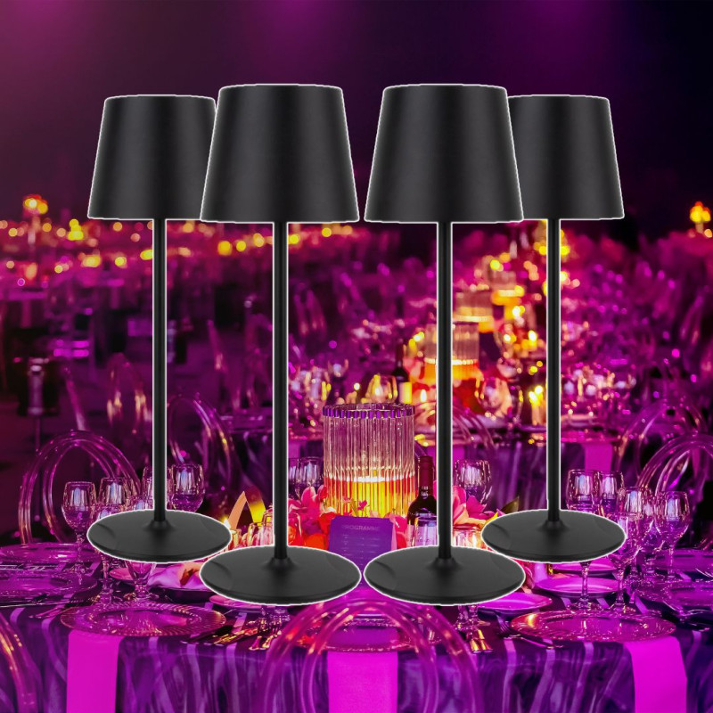 VALISE DE 4 EVENTLITE RGBW IP54 SUR BATTERIE  