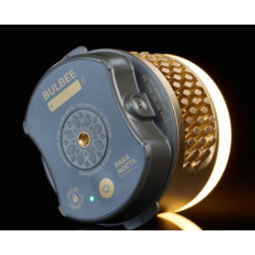 LAMPE BULBEE POUR PARANOCTA