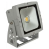 PROJECTEUR LED BLANC CHAUD INT/EXT LED COB 50W BRITEQ 