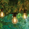 GUIRLANDE DE FETE 10 METRES + 20 AMPOULES LED FILAMENT  